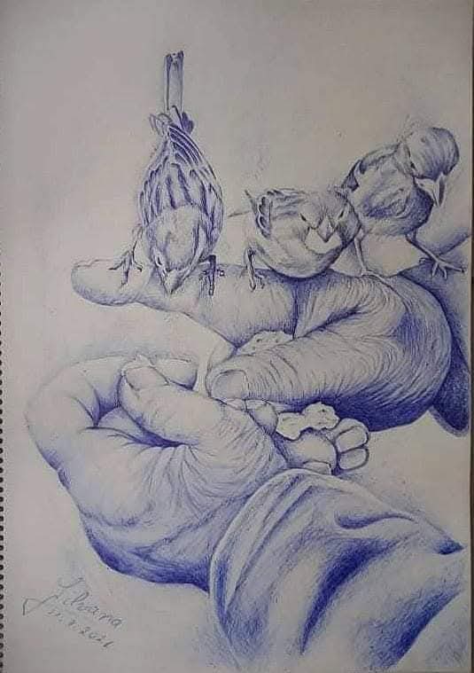 Gentle Companions